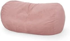 Christopher Knight Home 313871 Bean Bag, Rose Petal Pink Small -Home Table Chair Store 21VYVKS7JL. AC