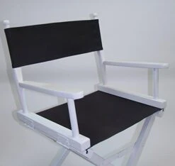 TLT Personalized Imprinted Gold Medal Contemporary 30" Bar Height White Frame Directors Chair - Pink -Home Table Chair Store 41094e9ujZL. AC