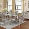 Coaster Home Furnishings Danette Rectangular Dining Table With Leaf Metallic Platinum 106471 -Home Table Chair Store 416tM8B9OzS