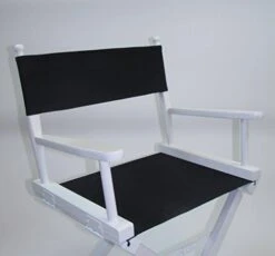 TLT Personalized Imprinted Gold Medal Contemporary 30" Bar Height White Frame Directors Chair - Pink -Home Table Chair Store 41UDhBgh5L. AC