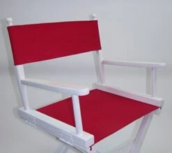 TLT Personalized Imprinted Gold Medal Contemporary 30" Bar Height White Frame Directors Chair - Pink -Home Table Chair Store 41bz9GzJfbL. AC