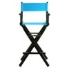 Casual Home 230-02/021-27 Director Chair 30" - Bar Height BlackFrame/Turquoise Canvas -Home Table Chair Store 41h0XQKxN0L