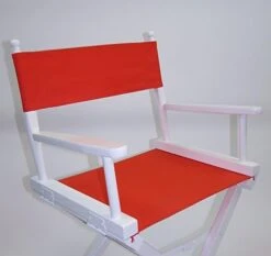 TLT Personalized Imprinted Gold Medal Contemporary 30" Bar Height White Frame Directors Chair - Pink -Home Table Chair Store 41sgE wEKZL. AC